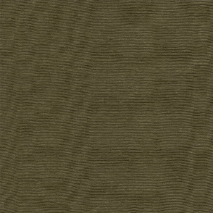Lucinda Chocolate by Kasmir Designer Fabric 5166 72% Rayon
28% Polyester
 CHINA 40,000 Martindale Cycles </p><p>Repeat: Horizontal: N/A and Vertical: N/A 54 - Swanky Fabrics -