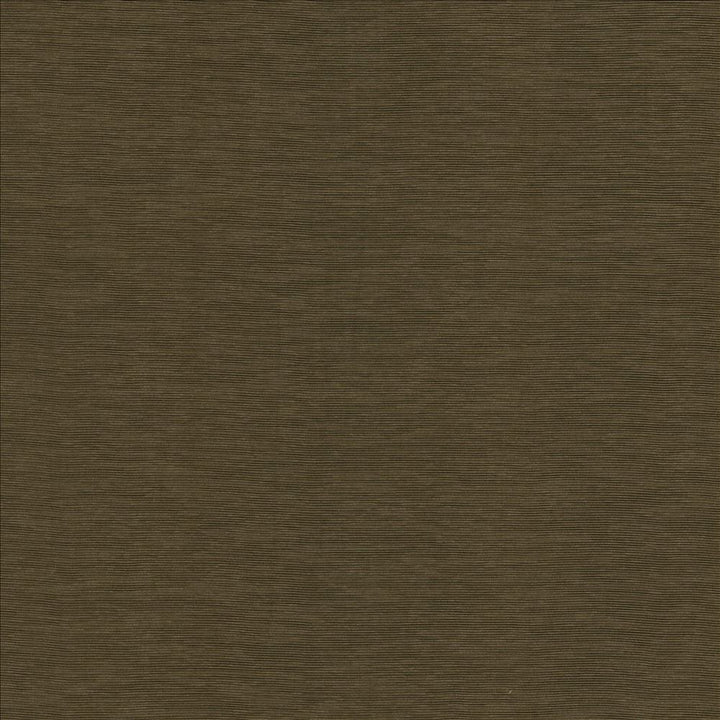 Lucinda Chocolate by Kasmir Designer Fabric 5166 72% Rayon
28% Polyester
 CHINA </p><p>Repeat: Horizontal: N/A and Vertical: N/A 54 - Swanky Fabrics -