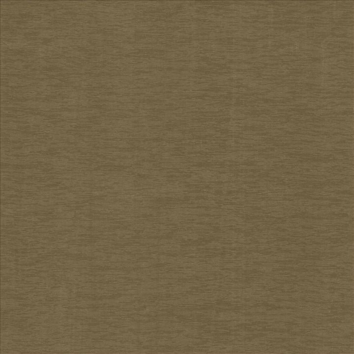 Lucinda Cocoa by Kasmir Designer Fabric 5166 72% Rayon
28% Polyester
 CHINA 40,000 Martindale Cycles </p><p>Repeat: Horizontal: N/A and Vertical: N/A 54 - Swanky Fabrics -