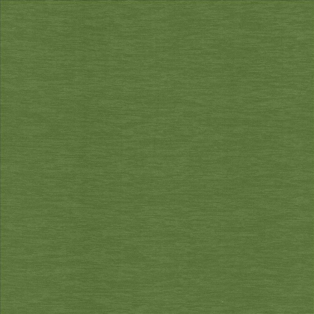 Lucinda Grass by Kasmir Designer Fabric 5166 72% Rayon
28% Polyester
 CHINA </p><p>Repeat: Horizontal: N/A and Vertical: N/A 54 - Swanky Fabrics -