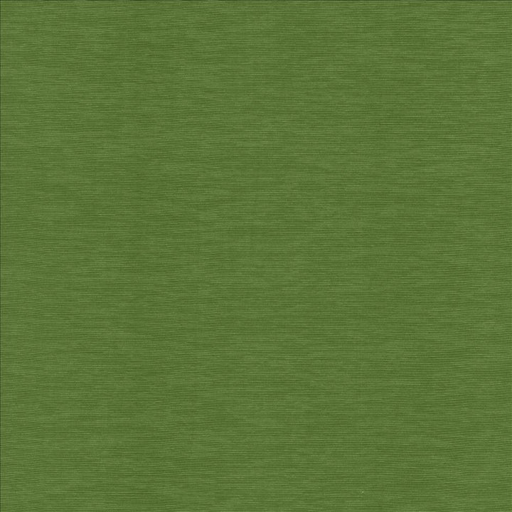Lucinda Grass by Kasmir Designer Fabric 5166 72% Rayon
28% Polyester
 CHINA 40,000 Martindale Cycles </p><p>Repeat: Horizontal: N/A and Vertical: N/A 54 - Swanky Fabrics -