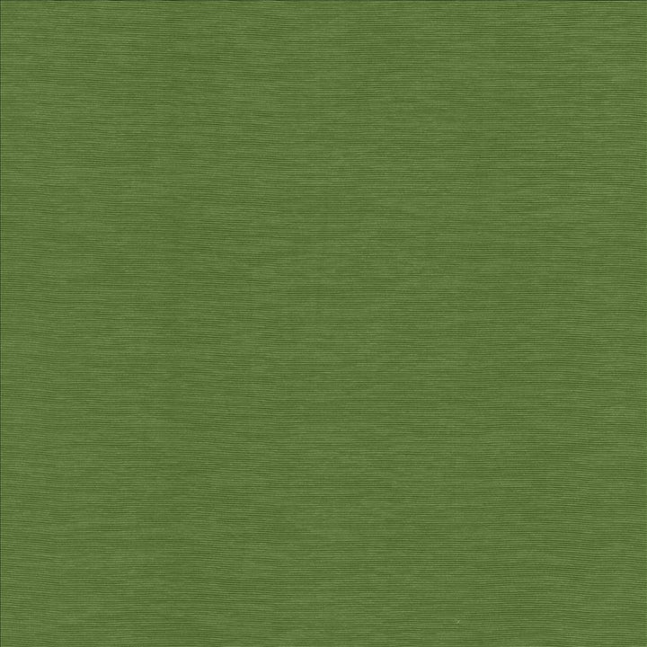 Lucinda Grass  by Kasmir Designer Fabric 5166 72% Rayon
28% Polyester
 CHINA 40,000 Martindale Cycles Horizontal: N/A and Vertical: N/A 54  - Swanky Fabrics -