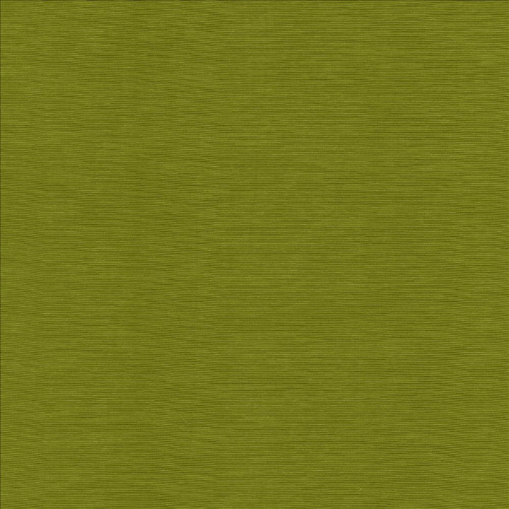 Lucinda Kiwi by Kasmir Designer Fabric 5166 72% Rayon
28% Polyester
 CHINA 40,000 Martindale Cycles </p><p>Repeat: Horizontal: N/A and Vertical: N/A 54 - Swanky Fabrics -