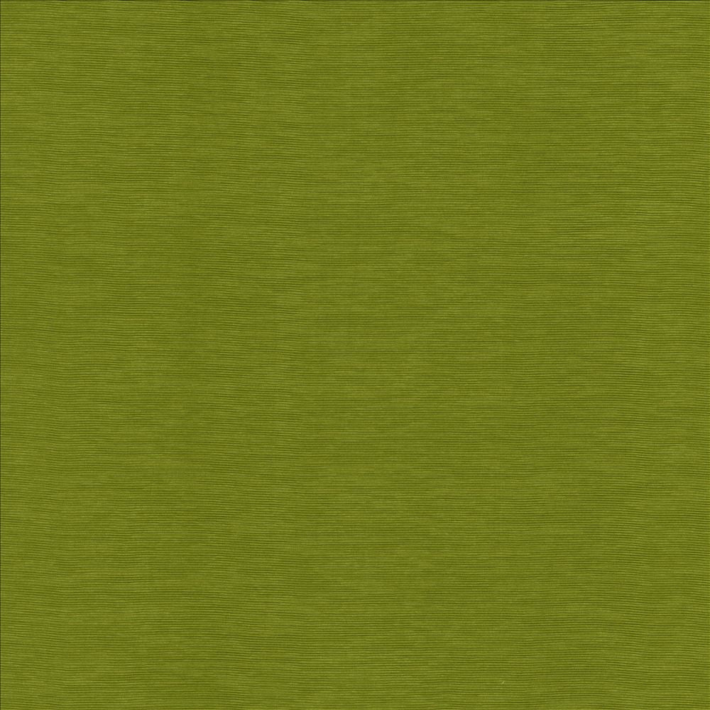 Lucinda Kiwi by Kasmir Designer Fabric 5166 72% Rayon
28% Polyester
 CHINA </p><p>Repeat: Horizontal: N/A and Vertical: N/A 54 - Swanky Fabrics -