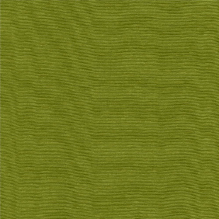 Lucinda Kiwi  by Kasmir Designer Fabric 5166 72% Rayon
28% Polyester
 CHINA 40,000 Martindale Cycles Horizontal: N/A and Vertical: N/A 54  - Swanky Fabrics -