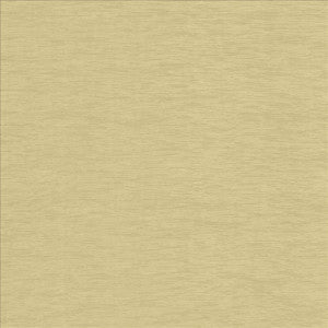 Lucinda Linen by Kasmir Designer Fabric