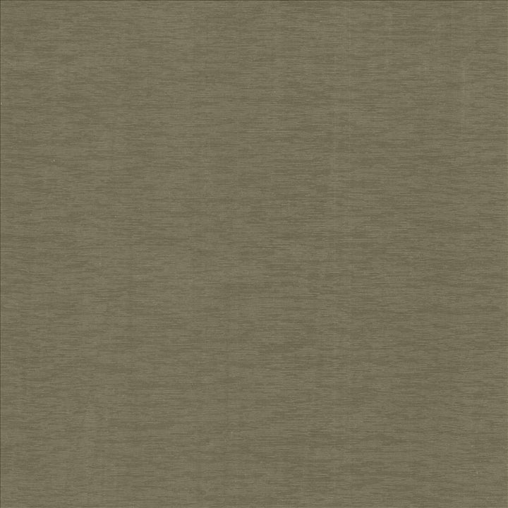 Lucinda Stone by Kasmir Designer Fabric 5166 72% Rayon
28% Polyester
 CHINA 40,000 Martindale Cycles </p><p>Repeat: Horizontal: N/A and Vertical: N/A 54 - Swanky Fabrics -