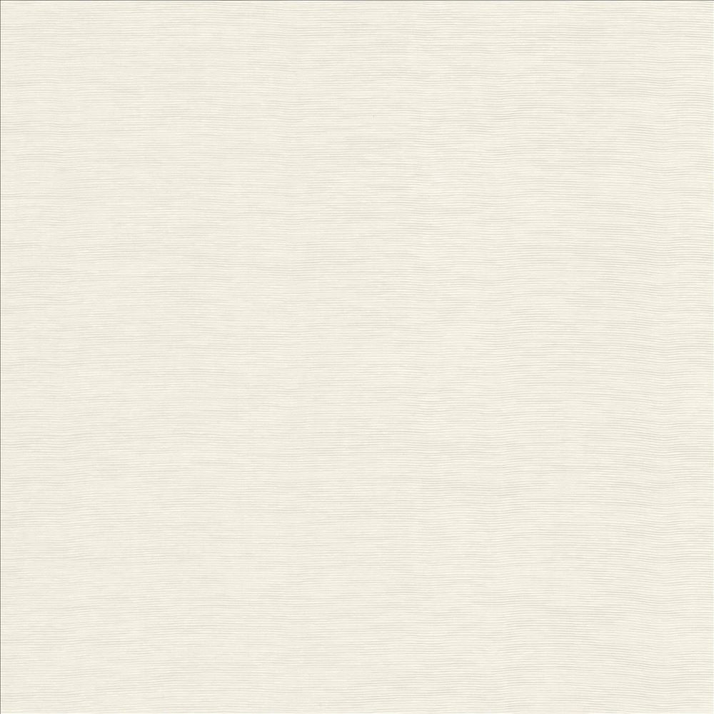 Lucinda White by Kasmir Designer Fabric 5166 72% Rayon
28% Polyester
 CHINA 40,000 Martindale Cycles </p><p>Repeat: Horizontal: N/A and Vertical: N/A 54 - Swanky Fabrics -