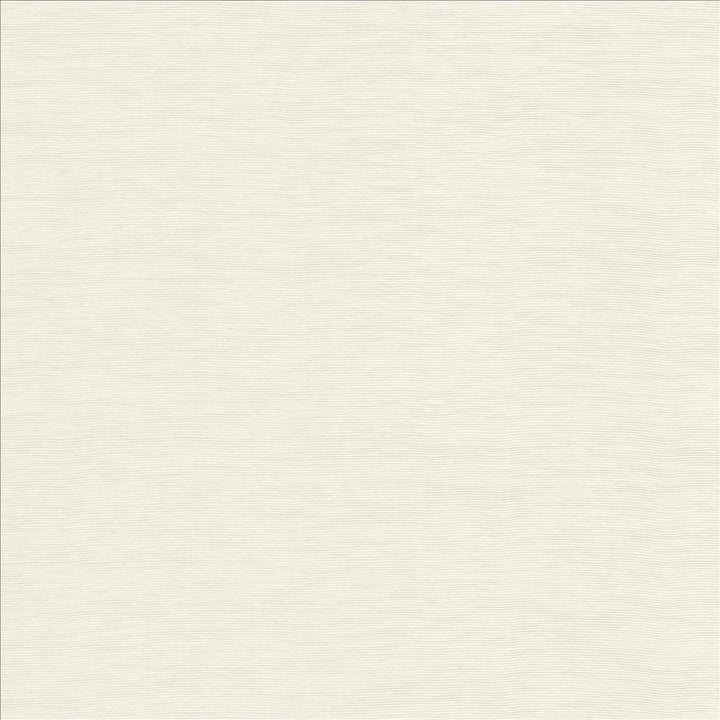 Lucinda White by Kasmir Designer Fabric 5166 72% Rayon
28% Polyester
 CHINA 40,000 Martindale Cycles </p><p>Repeat: Horizontal: N/A and Vertical: N/A 54 - Swanky Fabrics -