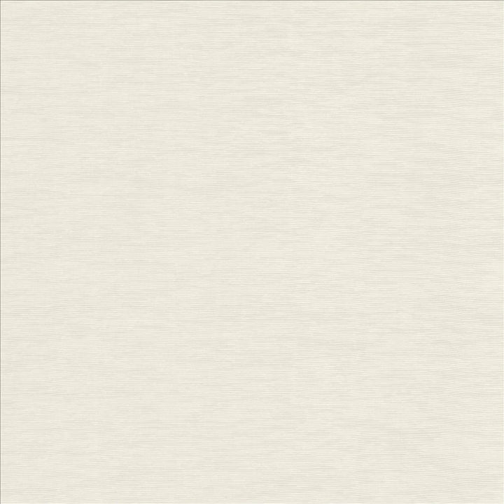 Lucinda White  by Kasmir Designer Fabric 5166 72% Rayon
28% Polyester
 CHINA 40,000 Martindale Cycles Horizontal: N/A and Vertical: N/A 54  - Swanky Fabrics -