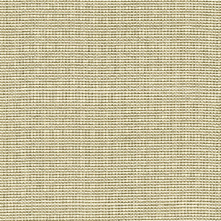Lunar Crossing Natural by Kasmir Designer Fabric 1457 100% Polyester
 INDIA 30,000 Wyzenbeek Double Rubs </p><p>Repeat: Horizontal: N/A and Vertical: N/A 56 - Swanky Fabrics -