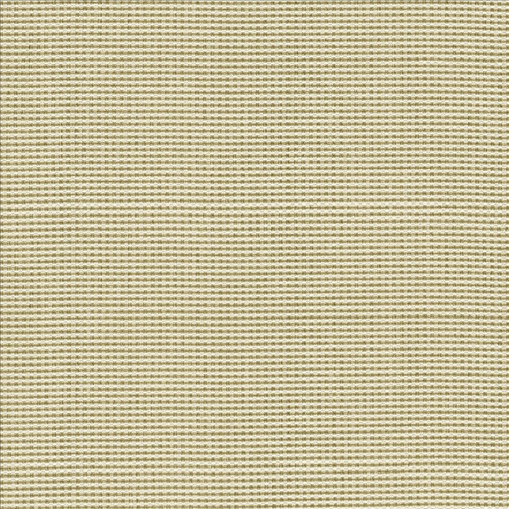 Lunar Crossing Natural by Kasmir Designer Fabric 1457 100% Polyester
 INDIA </p><p>Repeat: Horizontal: N/A and Vertical: N/A 56 - Swanky Fabrics -