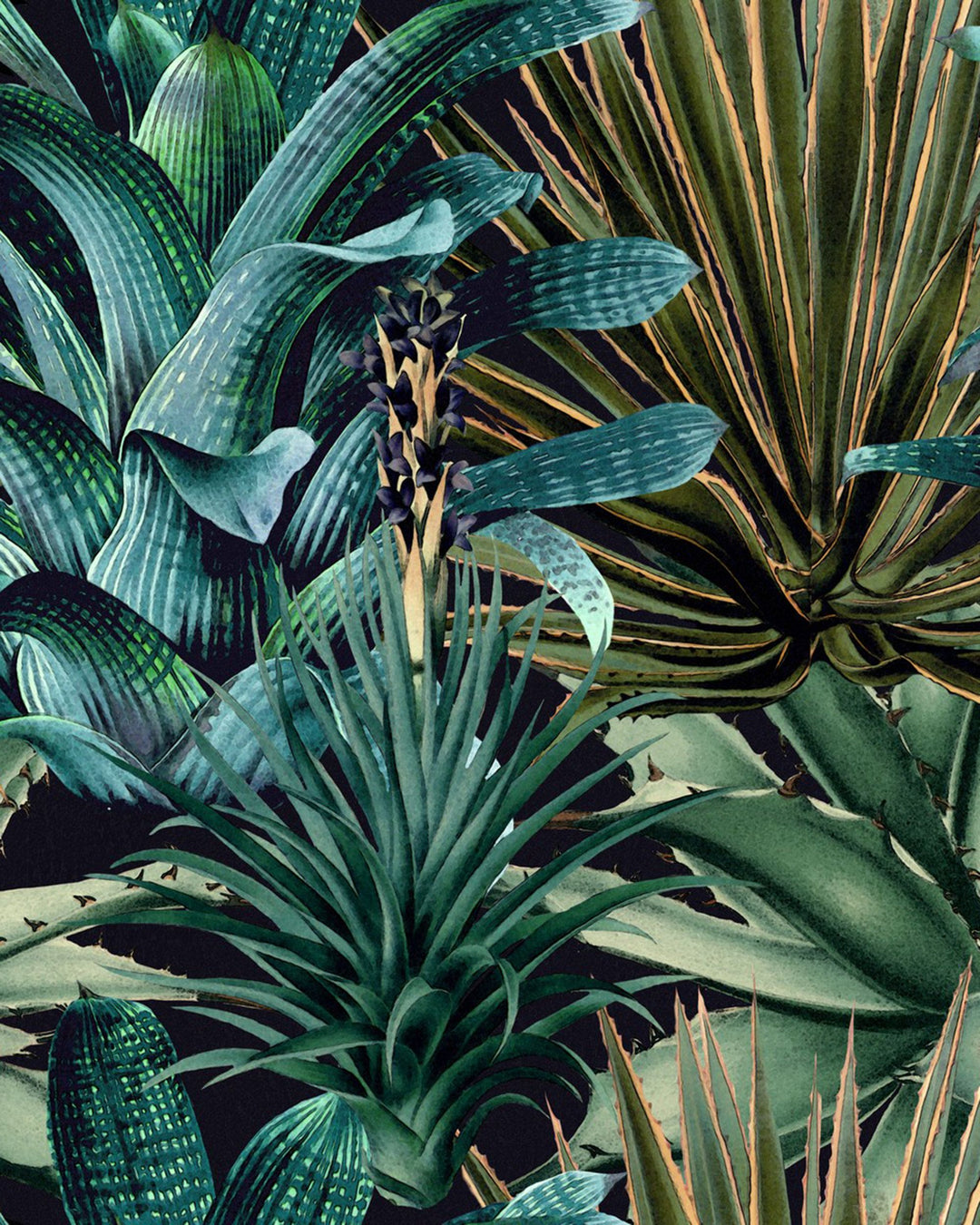 Lush Succulents wallpaper by Mind the Gap (WP20164), swatch