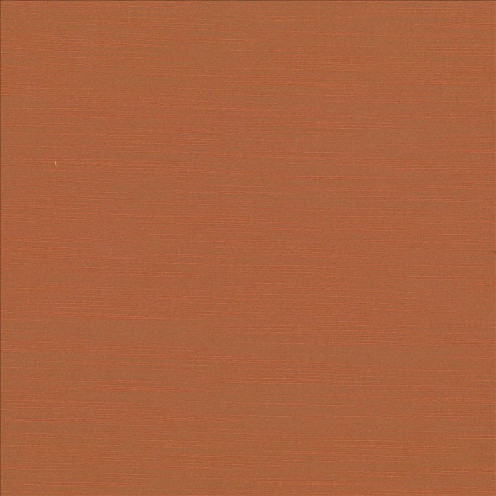 Luxe Adobe by Kasmir Designer Fabric See sample 88% Rayon
12% Polyester
 USA 21,000 Wyzenbeek Double Rubs </p><p>Repeat: Horizontal: N/A and Vertical: N/A 54 - Swanky Fabrics -