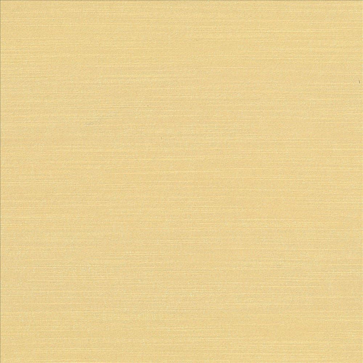 Luxe Bone by Kasmir Designer Fabric 1447 88% Rayon 12% Polyester USA 21,000 Wyzenbeek Double Rubs Horizontal: 0 Inches and Vertical: 0 Inches 54 - Swanky Fabrics -