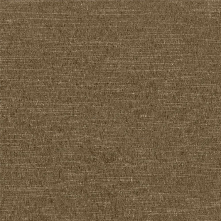 Luxe Bronze by Kasmir Designer Fabric 1447 88% Rayon
12% Polyester
 USA </p><p>Repeat: Horizontal: N/A and Vertical: N/A 54 - Swanky Fabrics -