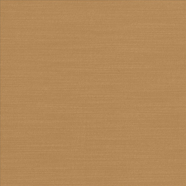 Luxe Camel by Kasmir Designer Fabric 1447 88% Rayon
12% Polyester
 USA </p><p>Repeat: Horizontal: N/A and Vertical: N/A 54 - Swanky Fabrics -