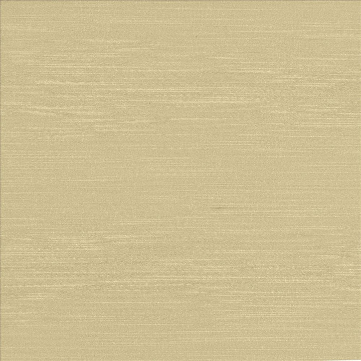 Luxe Dove by Kasmir Designer Fabric See sample 88% Rayon
12% Polyester
 USA 21,000 Wyzenbeek Double Rubs </p><p>Repeat: Horizontal: N/A and Vertical: N/A 54 - Swanky Fabrics -