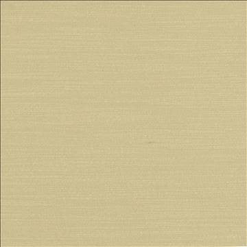 Luxe Dove by Kasmir Designer Fabric 1447 88% Rayon 12% Polyester USA 21,000 Wyzenbeek Double Rubs H: N/A, V: N/A 54 - Swanky Fabrics - Kasmir