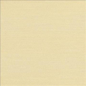 Luxe Ecru by Kasmir Designer Fabric