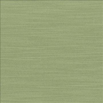 Luxe Jade by Kasmir Designer Fabric 1447 88% Rayon 12% Polyester USA 21,000 Wyzenbeek Double Rubs H: N/A, V: N/A 54 - Swanky Fabrics - Kasmir