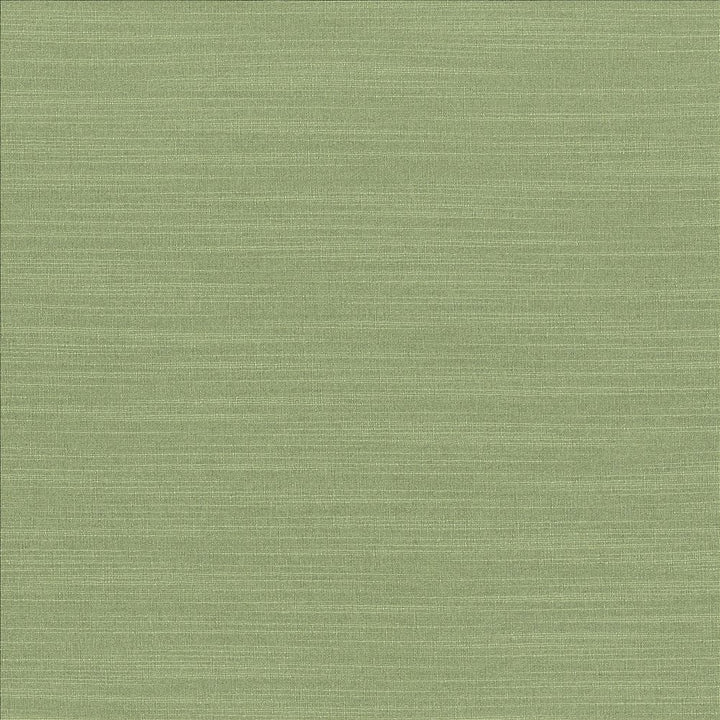 Luxe Jade by Kasmir Designer Fabric 1447 88% Rayon 12% Polyester USA 21,000 Wyzenbeek Double Rubs Horizontal: 0 Inches and Vertical: 0 Inches 54 - Swanky Fabrics -