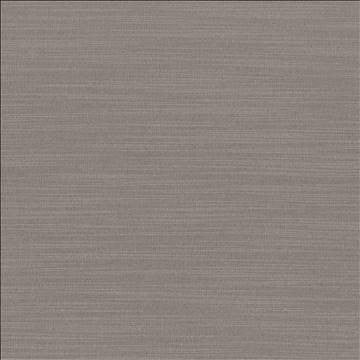 Luxe Mineral by Kasmir Designer Fabric 1447 88% Rayon 12% Polyester USA 21,000 Wyzenbeek Double Rubs H: N/A, V: N/A 54 - Swanky Fabrics - Kasmir