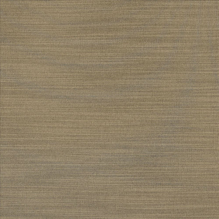 Luxe Nickel by Kasmir Designer Fabric 1447 88% Rayon
12% Polyester
 USA </p><p>Repeat: Horizontal: N/A and Vertical: N/A 54 - Swanky Fabrics -
