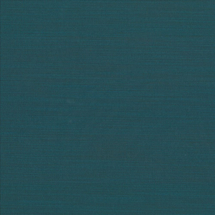 Luxe Pacific by Kasmir Designer Fabric See sample 88% Rayon
12% Polyester
 USA 21,000 Wyzenbeek Double Rubs </p><p>Repeat: Horizontal: N/A and Vertical: N/A 54 - Swanky Fabrics -