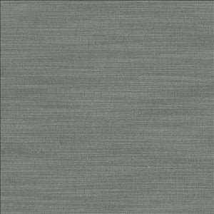 Luxe Pewter by Kasmir Designer Fabric