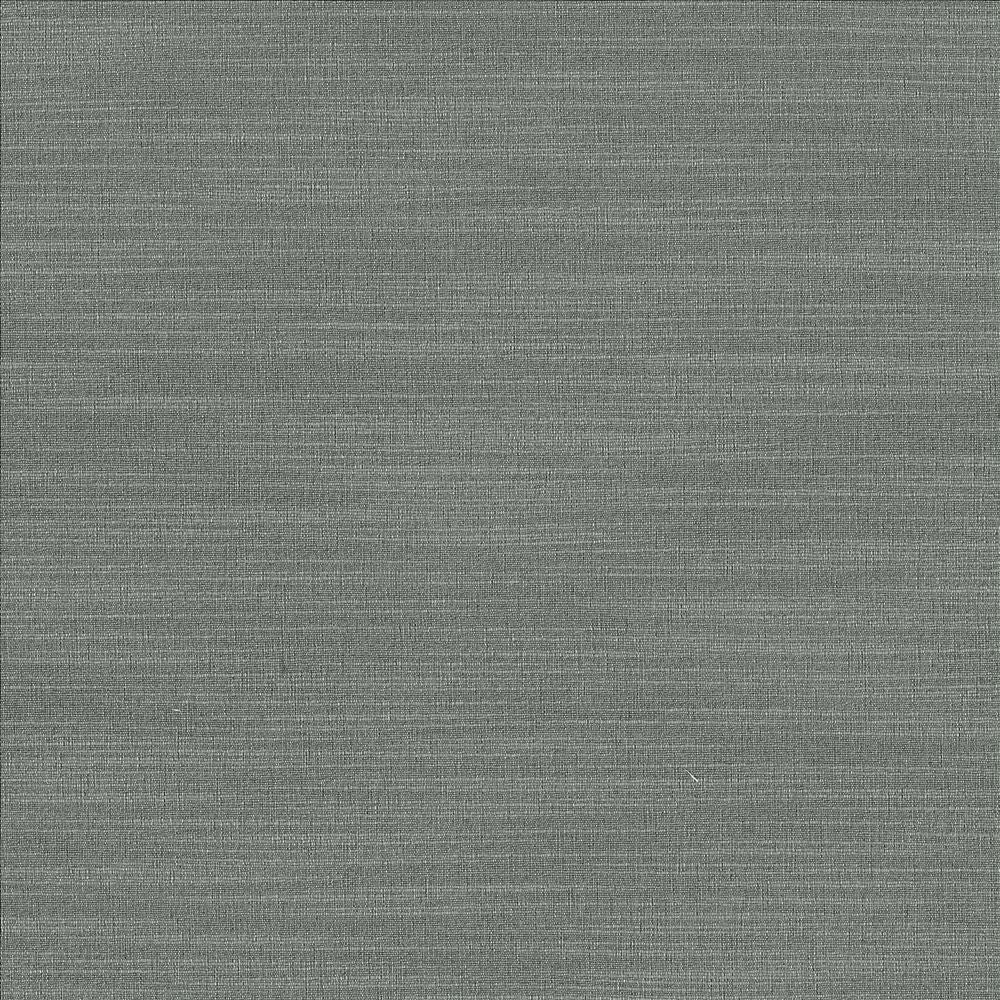 Luxe Pewter by Kasmir Designer Fabric 1447 88% Rayon 12% Polyester USA 21,000 Wyzenbeek Double Rubs Horizontal: 0 Inches and Vertical: 0 Inches 54 - Swanky Fabrics -