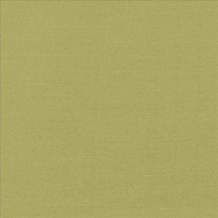 Luxe Pistachio by Kasmir Designer Fabric 1447 88% Rayon
12% Polyester
 USA </p><p>Repeat: Horizontal: N/A and Vertical: N/A 54 - Swanky Fabrics -