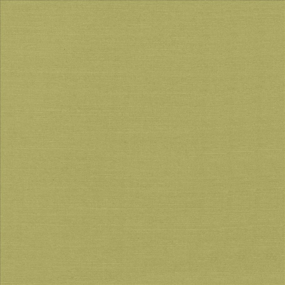 Luxe Pistachio by Kasmir Designer Fabric 1447 88% Rayon
12% Polyester
 USA 21,000 Wyzenbeek Double Rubs </p><p>Repeat: Horizontal: N/A and Vertical: N/A 54 - Swanky Fabrics -