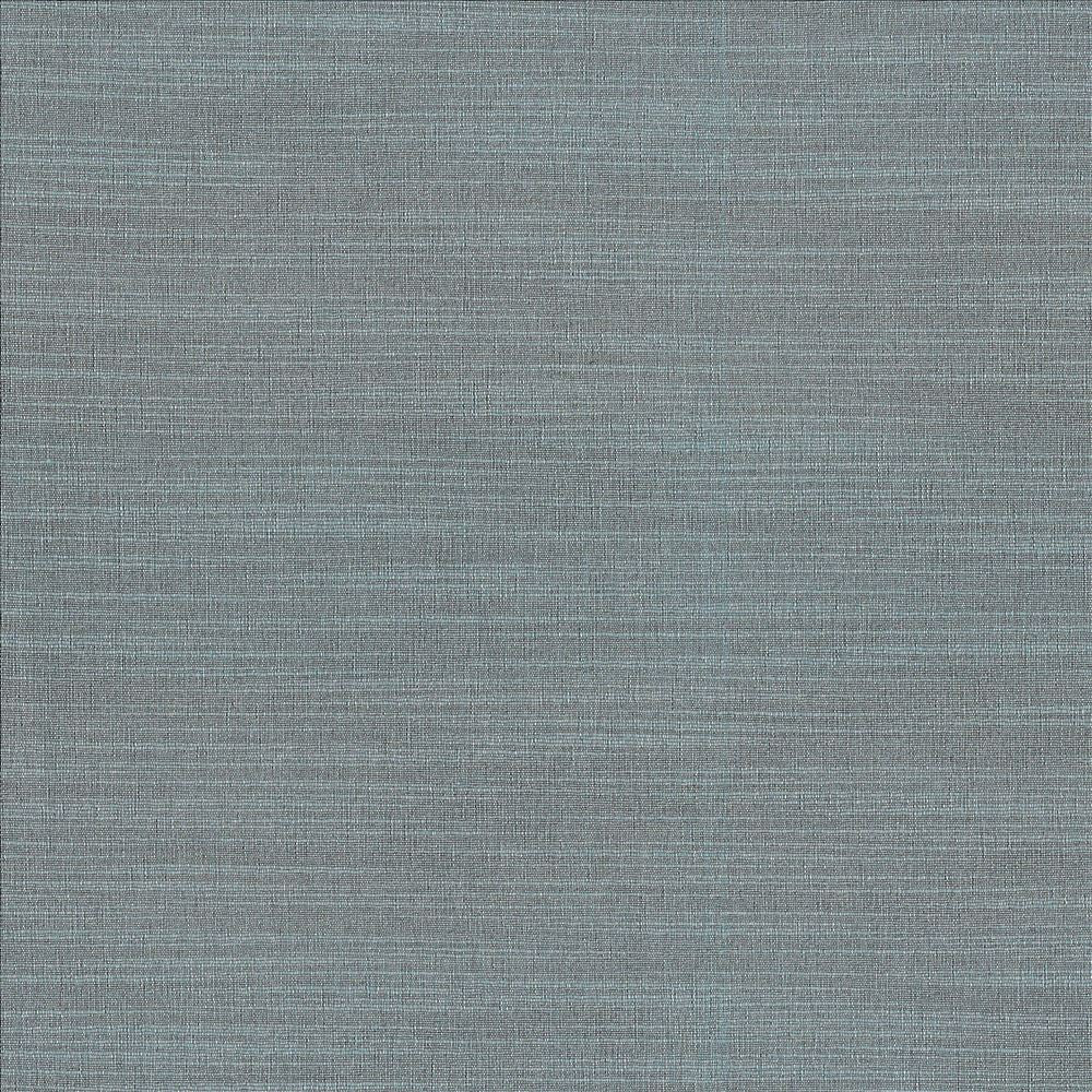 Luxe Slate by Kasmir Designer Fabric 1447 88% Rayon
12% Polyester
 USA 21,000 Wyzenbeek Double Rubs </p><p>Repeat: Horizontal: N/A and Vertical: N/A 54 - Swanky Fabrics -
