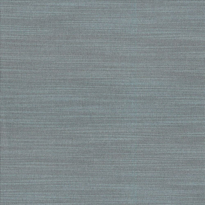 Luxe Slate by Kasmir Designer Fabric 1447 88% Rayon
12% Polyester
 USA 21,000 Wyzenbeek Double Rubs </p><p>Repeat: Horizontal: N/A and Vertical: N/A 54 - Swanky Fabrics -