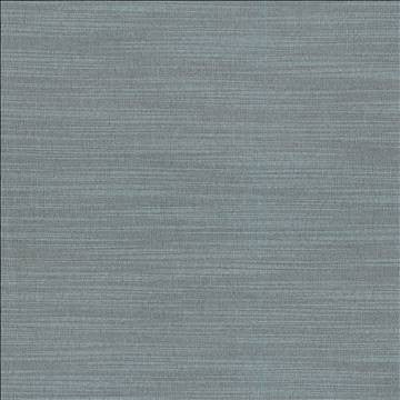 Luxe Slate by Kasmir Designer Fabric 1447 88% Rayon 12% Polyester USA 21,000 Wyzenbeek Double Rubs H: N/A, V: N/A 54 - Swanky Fabrics - Kasmir