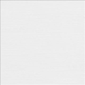 Luxe Snow by Kasmir Designer Fabric 1447 88% Rayon 12% Polyester USA 21,000 Wyzenbeek Double Rubs H: N/A, V: N/A 54 - Swanky Fabrics - Kasmir