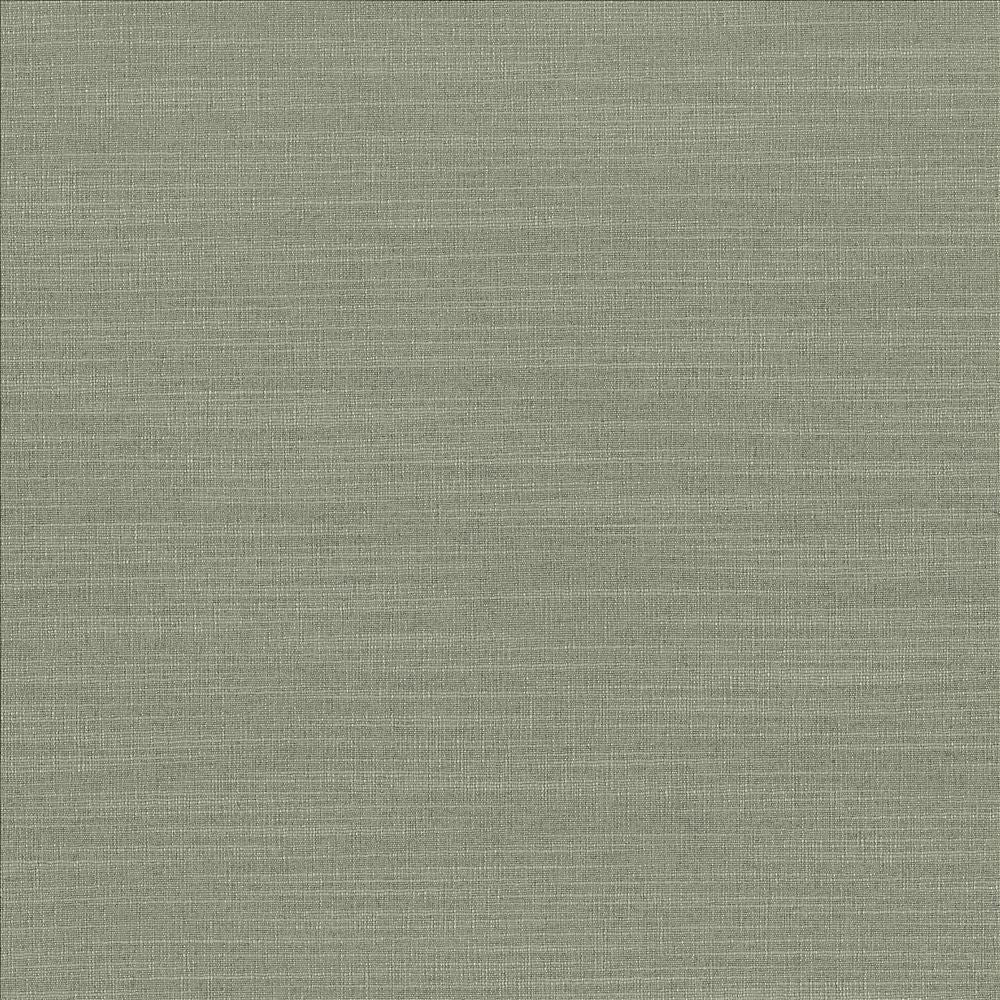 Luxe Spruce by Kasmir Designer Fabric 1447 88% Rayon
12% Polyester
 USA </p><p>Repeat: Horizontal: N/A and Vertical: N/A 54 - Swanky Fabrics -