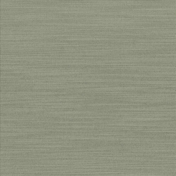 Luxe Spruce by Kasmir Designer Fabric 1447 88% Rayon
12% Polyester
 USA </p><p>Repeat: Horizontal: N/A and Vertical: N/A 54 - Swanky Fabrics -