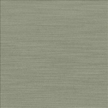 Luxe Spruce by Kasmir Designer Fabric 1447 88% Rayon 12% Polyester USA 21,000 Wyzenbeek Double Rubs H: N/A, V: N/A 54 - Swanky Fabrics - Kasmir