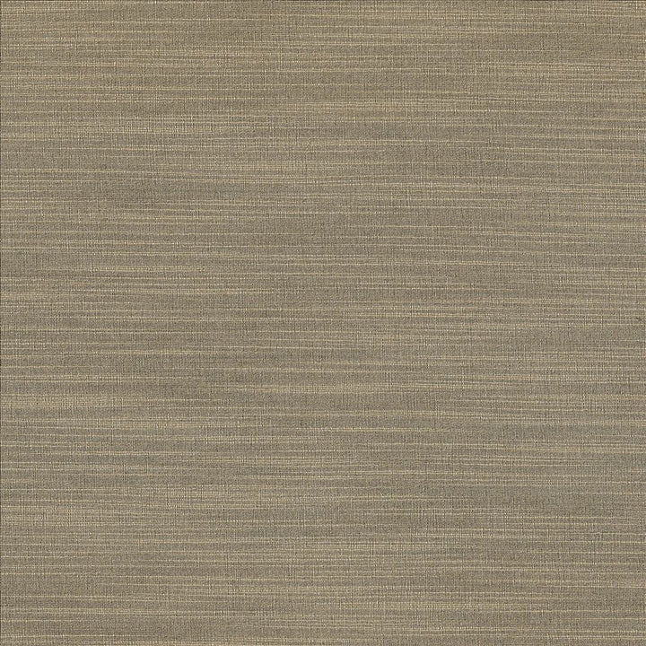 Luxe Stone by Kasmir Designer Fabric 1447 88% Rayon
12% Polyester
 USA 21,000 Wyzenbeek Double Rubs </p><p>Repeat: Horizontal: N/A and Vertical: N/A 54 - Swanky Fabrics -