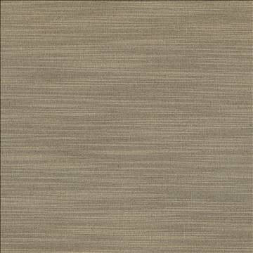Luxe Stone by Kasmir Designer Fabric 1447 88% Rayon 12% Polyester USA 21,000 Wyzenbeek Double Rubs H: N/A, V: N/A 54 - Swanky Fabrics - Kasmir