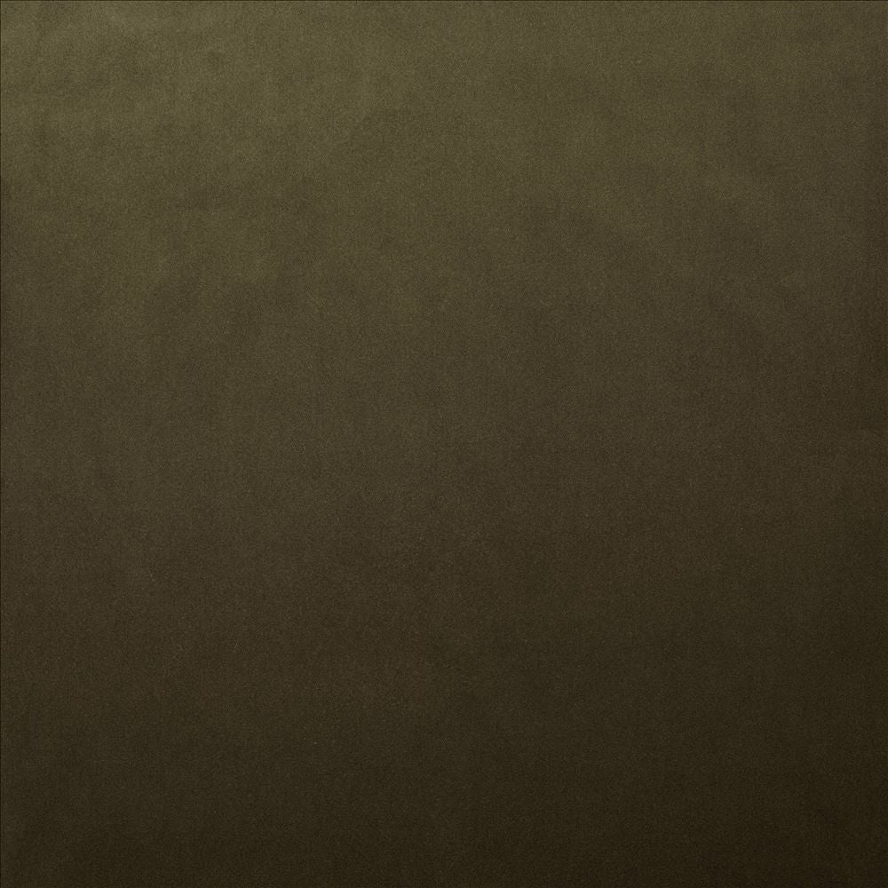 Lyndhurst Caper by Kasmir Designer Fabric See sample 100% Polyester
 CHINA 100,000 Wyzenbeek Double Rubs </p><p>Repeat: Horizontal: N/A and Vertical: N/A 54 - Swanky Fabrics -