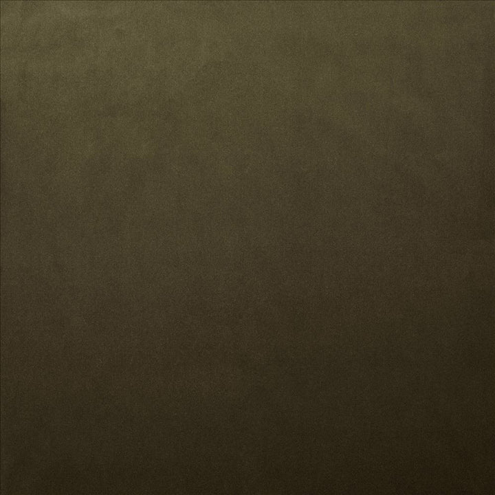 Lyndhurst Caper by Kasmir Designer Fabric See sample 100% Polyester
 CHINA 100,000 Wyzenbeek Double Rubs </p><p>Repeat: Horizontal: N/A and Vertical: N/A 54 - Swanky Fabrics -