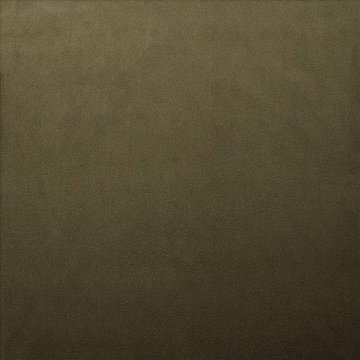 Lyndhurst Caper by Kasmir Designer Fabric 5158 100% Polyester CHINA 100,000 Wyzenbeek Double Rubs Horizontal: 0 Inches and Vertical: 0 Inches 54 - Swanky Fabrics -