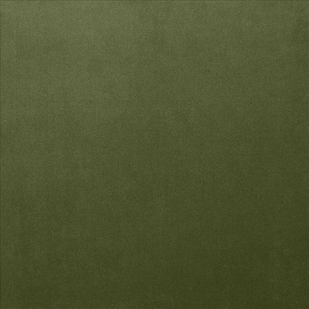 Lyndhurst Fern by Kasmir Designer Fabric 5158 100% Polyester
 CHINA 100,000 Wyzenbeek Double Rubs </p><p>Repeat: Horizontal: N/A and Vertical: N/A 54 - Swanky Fabrics -