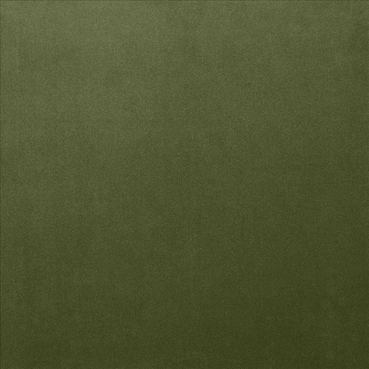 Lyndhurst Fern by Kasmir Designer Fabric 5158 100% Polyester
 CHINA 100,000 Wyzenbeek Double Rubs </p><p>Repeat: Horizontal: N/A and Vertical: N/A 54 - Swanky Fabrics -