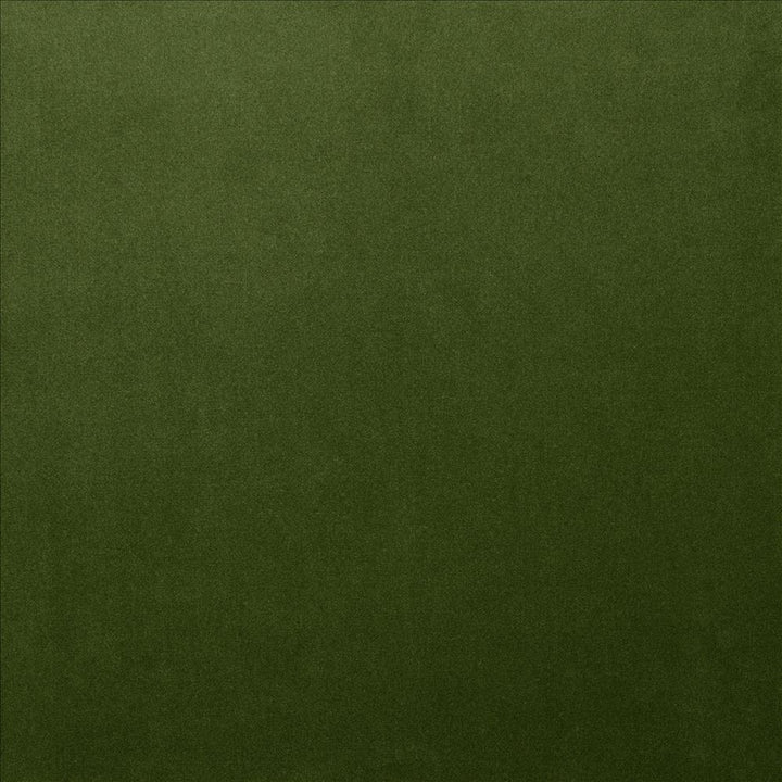 Lyndhurst Fern by Kasmir Designer Fabric 5158 100% Polyester CHINA 100,000 Wyzenbeek Double Rubs Horizontal: 0 Inches and Vertical: 0 Inches 54 - Swanky Fabrics -