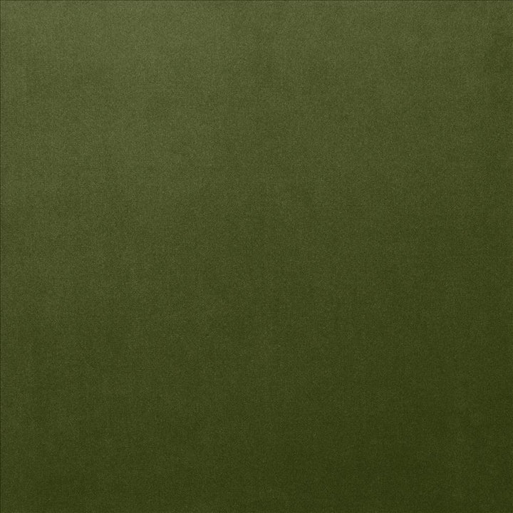 Lyndhurst Fern by Kasmir Designer Fabric 5158 100% Polyester
 CHINA </p><p>Repeat: Horizontal: N/A and Vertical: N/A 54 - Swanky Fabrics -