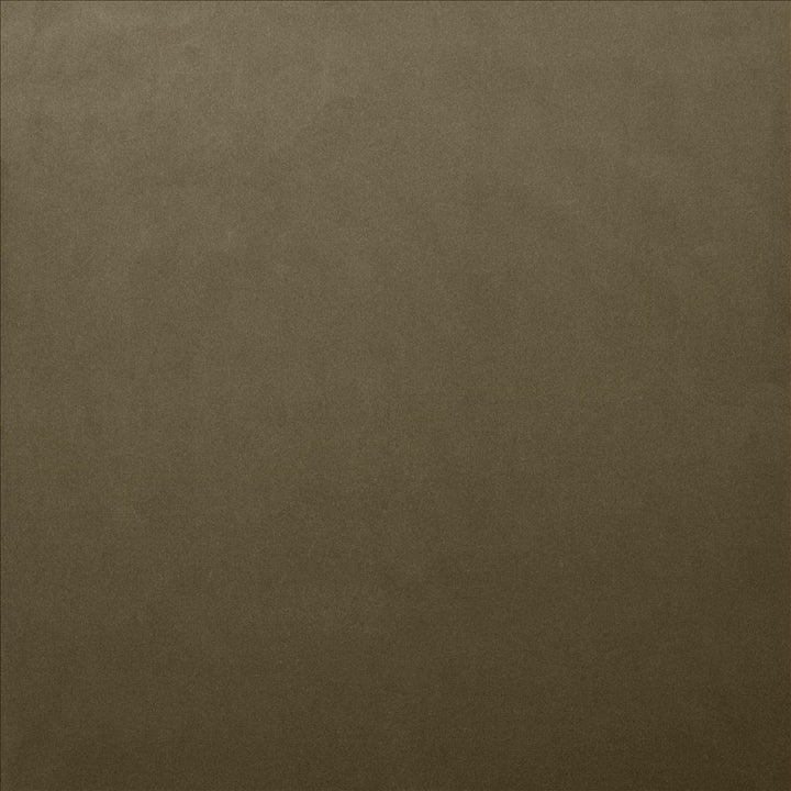 Lyndhurst Mushroom by Kasmir Designer Fabric 5158 100% Polyester
 CHINA </p><p>Repeat: Horizontal: N/A and Vertical: N/A 54 - Swanky Fabrics -